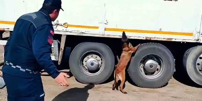 Kargo aracında 1 tonun üzerinde kaçak tütün ve yüzlerce paket sigara ele geçirildi