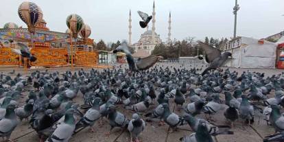 Kırıkkale'de soğuk hava, meydanı kuşlara bıraktı